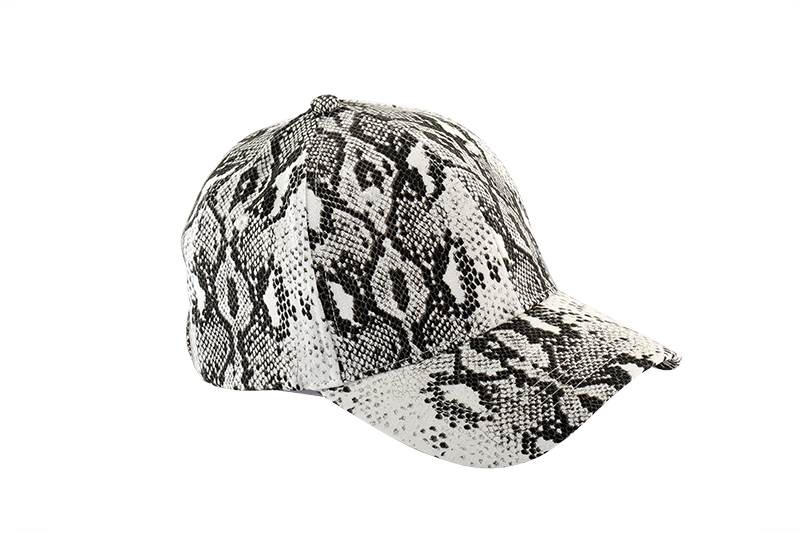 乌鲁木齐棒球帽FDR_8891